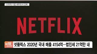넷플릭스에 뿔난 국세청, 다국적기업 전산망 들여다보겠다?