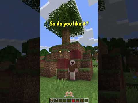 Types of Minecraft Bases