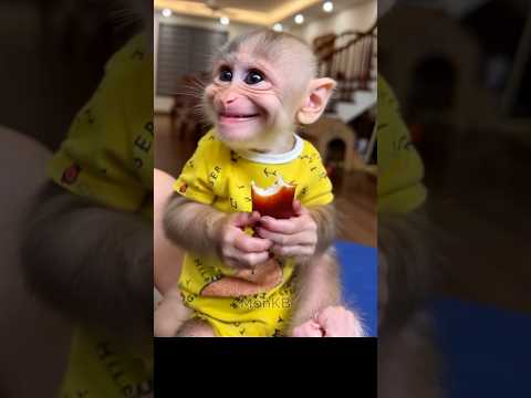 My favorite baby monkey to eat 😙