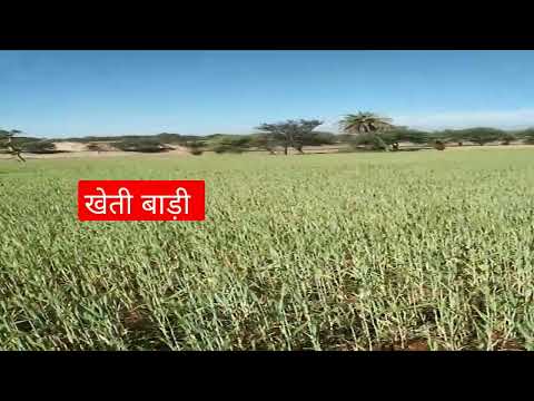 खेती बाड़ी गांव की जिंदगी #vairal #ytshorts #shortvideo #shorts #india #kheti #khetibadi