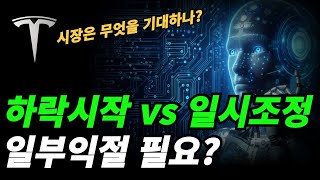 (테슬라) 익절후 다시 사야하나?