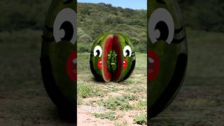 Goodland | The birth of a watermelon 😁  #goodland #shorts #doodles #doodlesart
