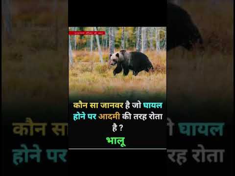कौन सा जानवर है जो इंसानों की तरह रोता है #gk #upsc #ias #cgl #shorts #facts #class #exam #police