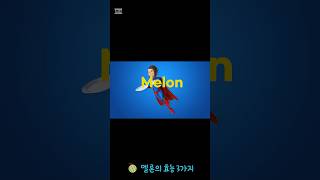 🍈 멜론의 효능 3가지 #멜론 #melon #Shorts
