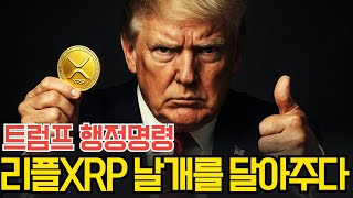 리플 엑스알피 트럼프 대통령의 행정명령 숨겨진 진실! 엄청난 호재다!