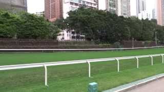 維多利亞城界石 PART 03 (2014/03/09)