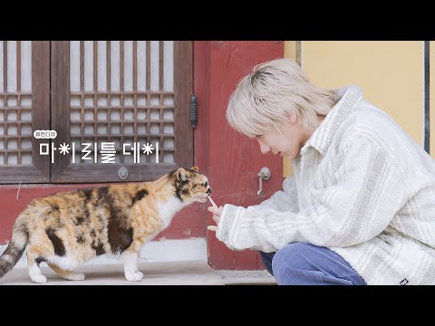 [teaser] 바쁜 일상을 잠시 멈춘 시간ㅣ마이리틀데이ㅣNCT 텐