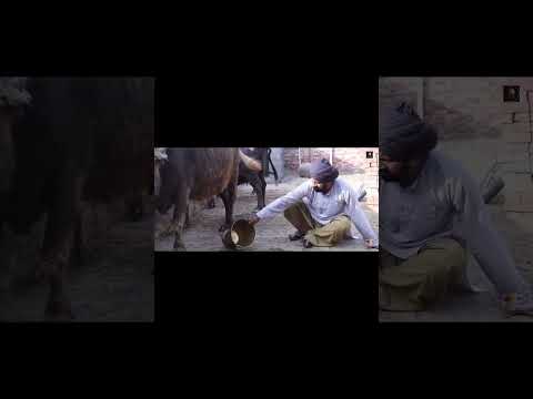 Dhutta Pindi ala and gaggi don baba beera funny video #motivation #like #shorts #shortfeed #sidhu