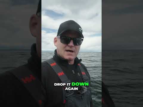 The bottom is where the fish are!