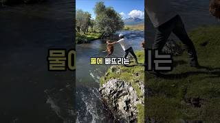 농부들이 양을 던지는 이유