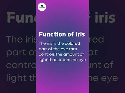 Function of iris #coachinghub #coachinghubrohini #studytips #studyscience