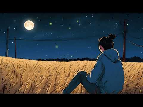 Night lofi playlist • On Wheat Field lofi music | chill beats to relax/study to Enjoy Your Night