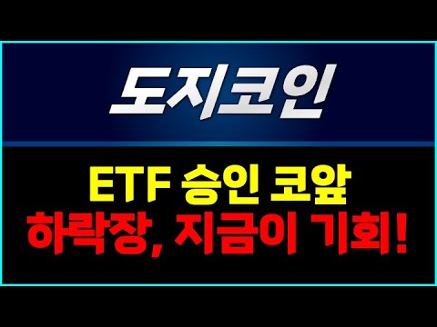 도지코인, ETF승인 전 마지막 바겐세일
