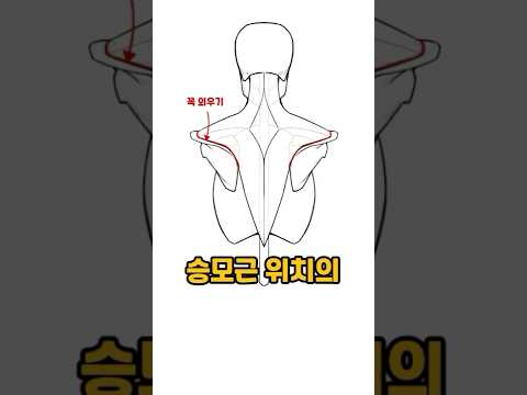 인체 드로잉 - 승모근 그리기 꿀팁. [How to draw - Tips for drawing trapezius muscles]