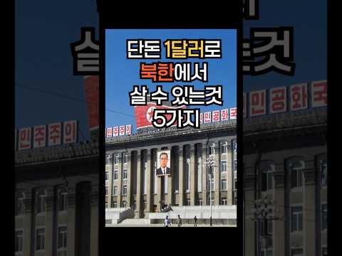 충격!북한달러환율폭등!붕괴조짐?#북한#달러#환율#통일