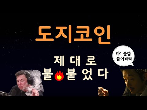 도지코인 jane manchun wong의 트윗에 정답지는 있었다, 이대로 160원 돌파인 이유 #도지코인 #도지코인전망 #도지 #dogecoin