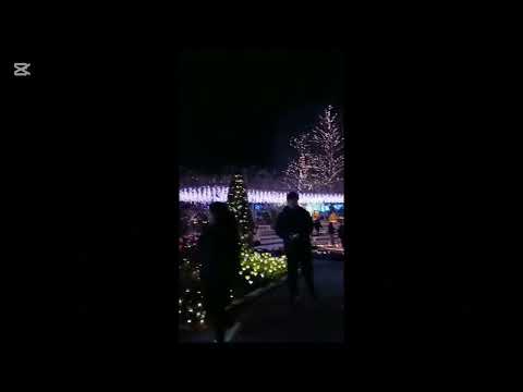 ashikaga flower park in night 🌙