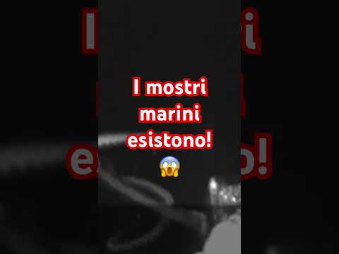 I Mostri Marini esistono! #monstres #monsters #mostri #shorts
