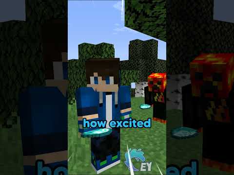 I Exposed a Fake Youtuber in Minecraft…