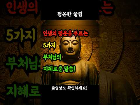 인생의 행운을 부르는 5가지 부처님의 지혜로운 말씀! #금언 #복받는법 #좋은기운 #긍정의힘 #마음공부 #불교지혜 #행복한노후 #시니어 #마음수련 #내면의평화 #일상의지혜 #명상