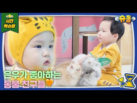 Eun Woo Is an Older Brother l The Return of Superman KBS 221118 Aired