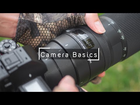 Pro Wildlife Photography Camera Basics