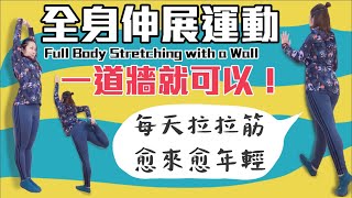 全身伸展運動｜靠一道牆就可以！｜FULL BODY STRETCHING WITH A WALL|