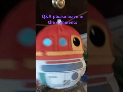 Q&A