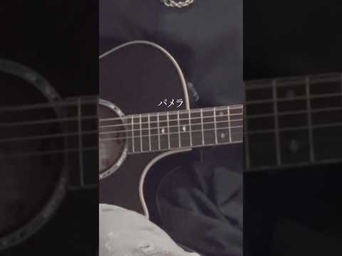 パメラ/弾き語り - Pamela/Acoustic「パメラ / Chevon」が"バルーン"企画アルバム「Fall Apart」に収録！#バルーン #須田景凪 #FallApart #弾き語り