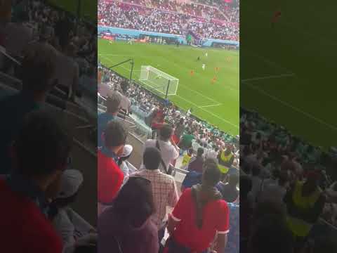 World Cup Crazy Sequence Before Goal #worldcup2022