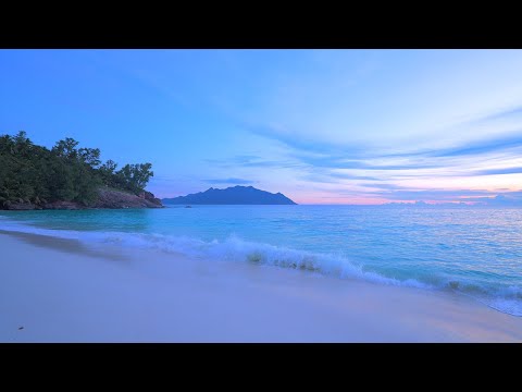 🏝 Seychelles Ocean 4K 🏝 Tropical Beach in Summer. Ocean sounds for sleep and study