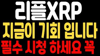 [리플 전망]지금이 기회입니다 필수 시청하세요 꼭#리플코인대응 #엑스알피 #리플 #XRP #SEC #리플소송 #갈링하우스  #트럼프
