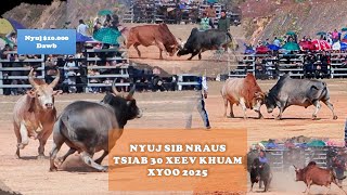 Nyuj sib nraus nyob rau tsiab peb caug Xeev Khuam 2025 (Hnub xiab 3) - Nyuj $10.000 dawb