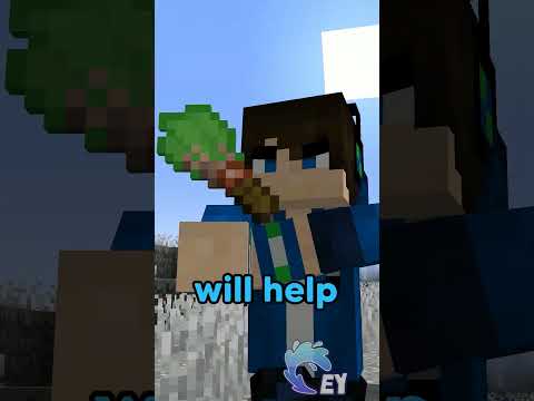 Minecraft, But I Save My Colors…