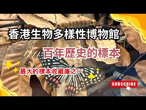 【香港最大的標本收藏庫】香港生物多樣性博物館｜百年歷史的標本｜萬個生物標本｜親子活動｜香港大學好去處