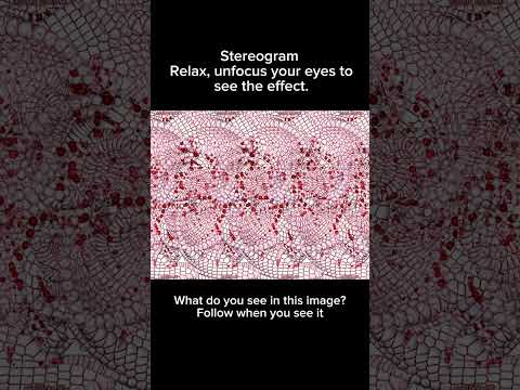 Stereogram. What do you see in this image? #stereogram #3deffects