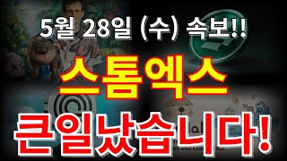 스톰엑스 코인 전망 큰일났다!! 급등 랠리 호재 있다?!