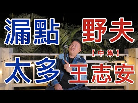 關於清邁野夫事件｜王志安采访野夫｜下集解读【中】