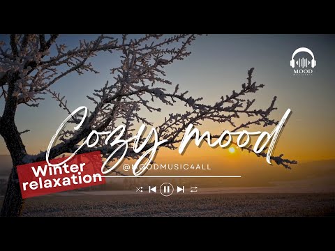 Winter Vibes - Chill & Cozy Songs for Relaxing & Studying