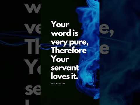 The Pure Word: Discovering David's Love for God's Word! 💖📖 | Bible Blade #ThePureWord