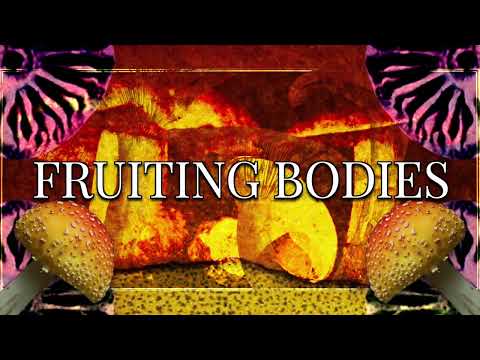 R.I.P - Fruiting Bodies ft. Gumi English (VOCALOID Original Song)