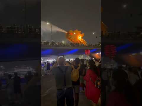"Watch Da Nang’s Dragon Bridge Breathe Fire and Water! Unmissable Night Show in Vietnam 🌉🔥"