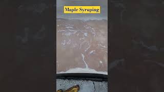 How to Make Maple Syrup #maplesap #maplesyrup #mapletapping #boilingmaplesap #maplesyrupmaking