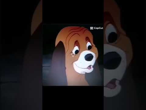I'm a fox my name is tod #trendingshorts #edit#thefoxandthehound #fox#copper#tod#viralshort #trend