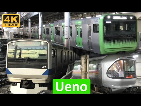 Lots of commuter trains! JR East trains at Tokyo's Ueno Station (ft the Cassiopeia) 上野駅 [4K]