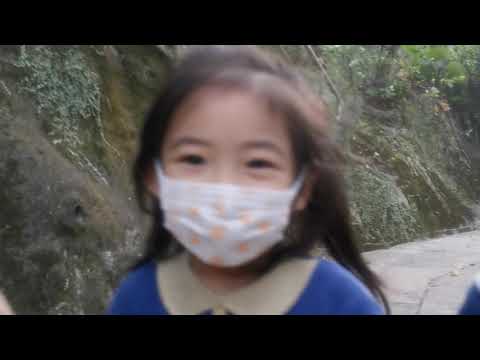 家庭日行太平山 Family Day. Hiking. Th Peak. Part 2