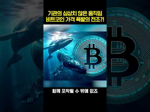 비트코인 가격 폭발의 신호 나왔다?...기관들의 심상치 않은 움직임들 포착