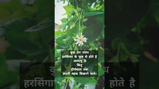 #shotsvideo #reel #youtubevideos #reelsinstagram #fecebookreelsviral #viralvideo #videoshort #quotes