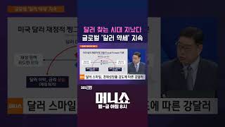 [머니숏] 달러 찾는 시대 지났다 글로벌 '달러 약세' 지속 #shorts