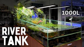 1000L Sloped River Tank at Atlas Aquariums!